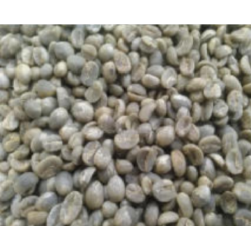 Grano de café verde de grado alimenticio de alta calidad